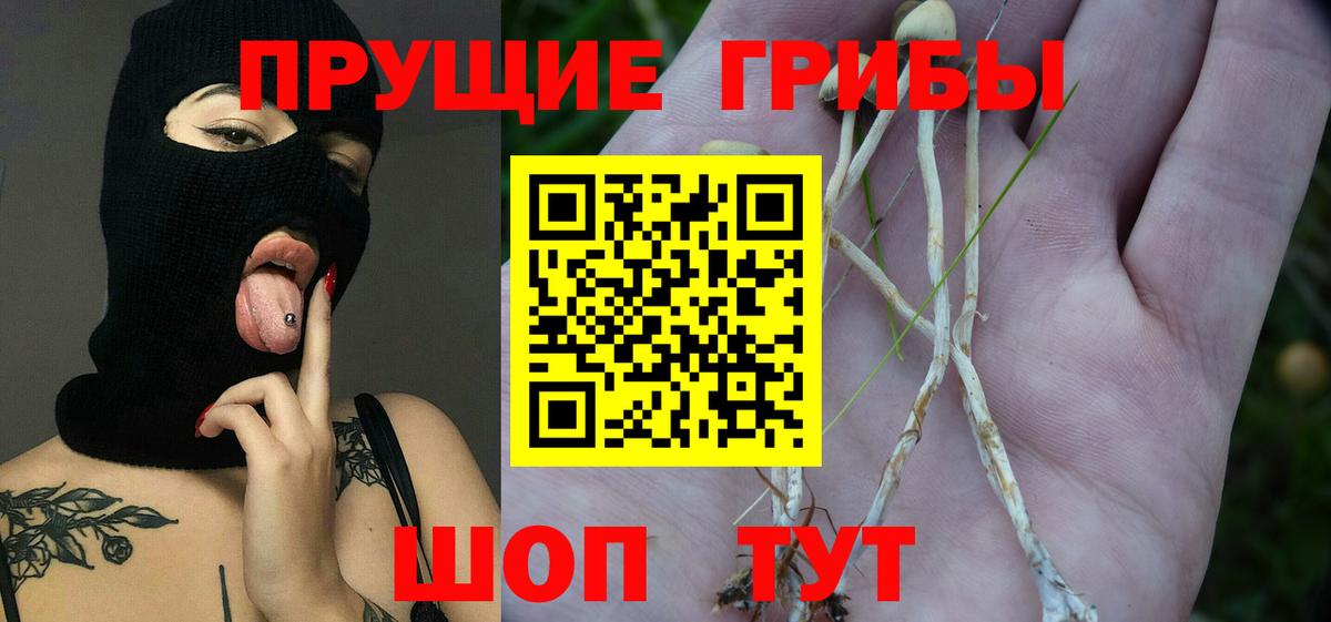 Псилоцибиновые грибы Magic Shrooms Татарск